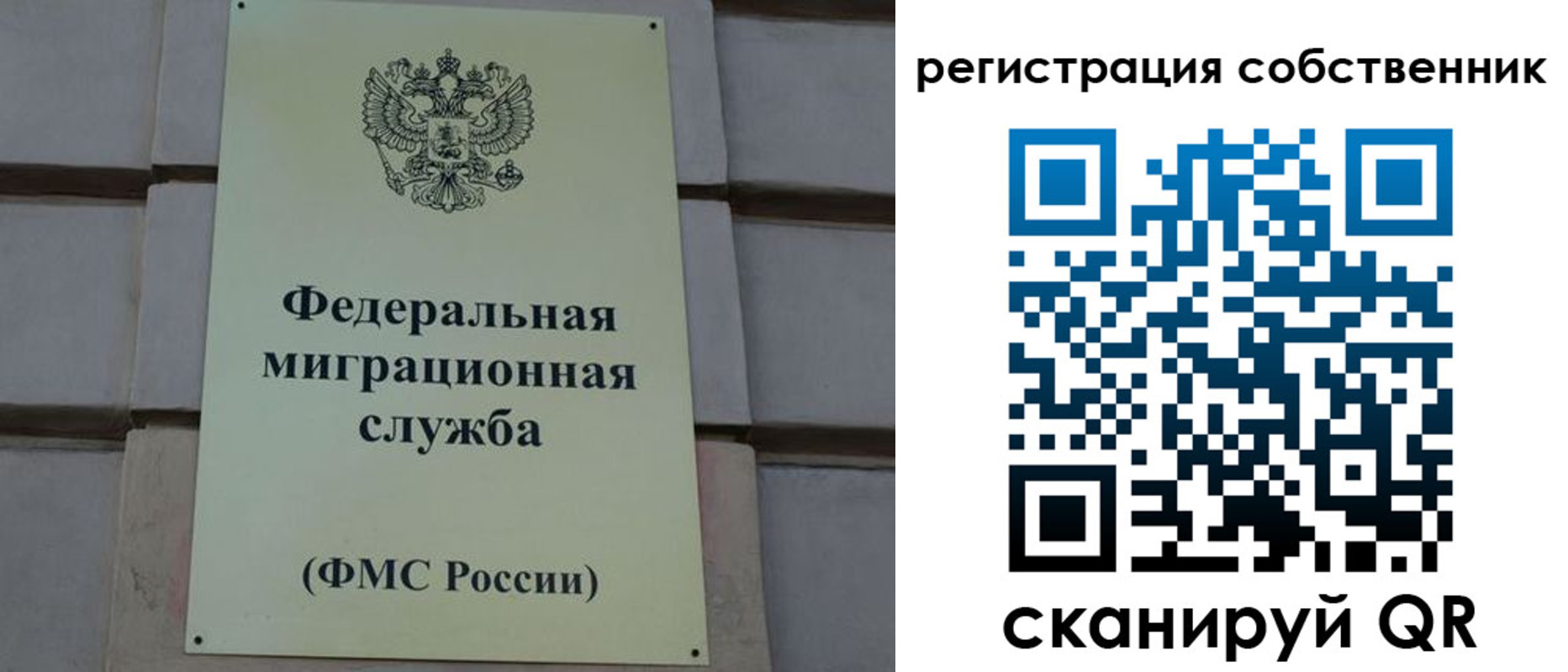 прописка гарантия в Шебекино